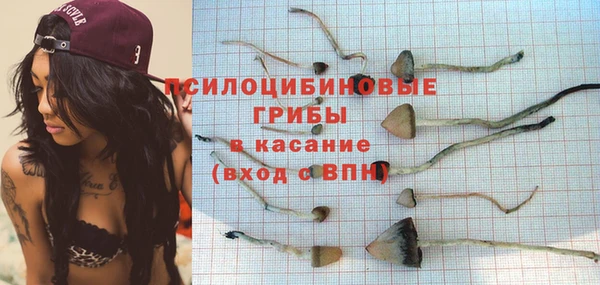 ешки Абаза