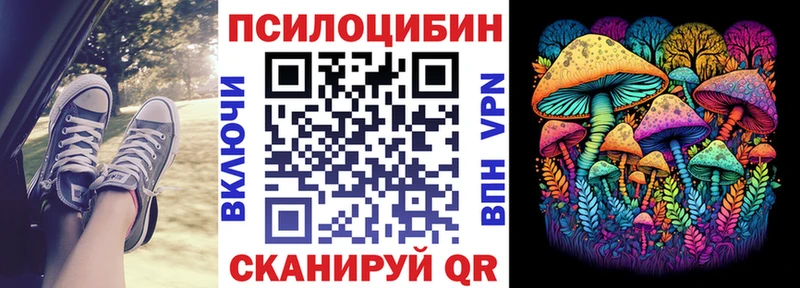 Галлюциногенные грибы Psilocybine cubensis  купить наркотики цена  Тимашёвск 