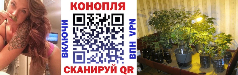 Конопля VHQ  Тимашёвск 